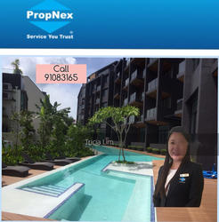 three-11 photo thumbnail #15